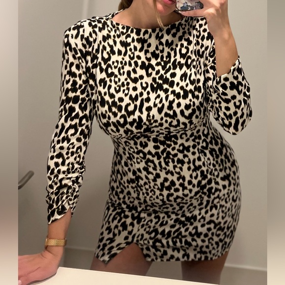 Zara dress animal print - Picture 4 of 4